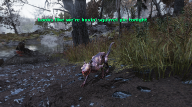 Detail Fallout 76 Squirrel Nomer 18