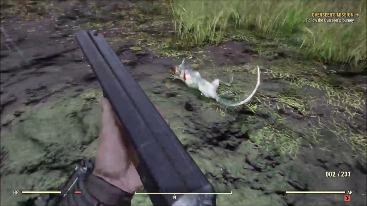Detail Fallout 76 Squirrel Nomer 7