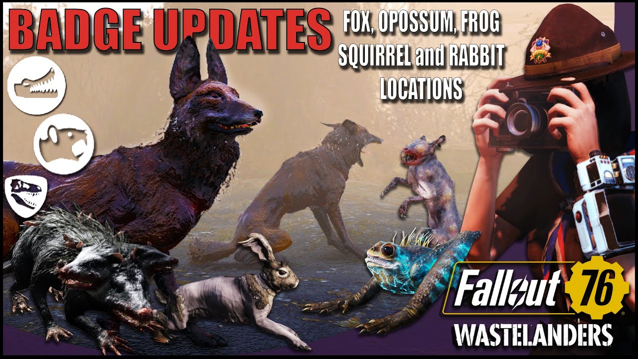 Detail Fallout 76 Squirrel Nomer 10
