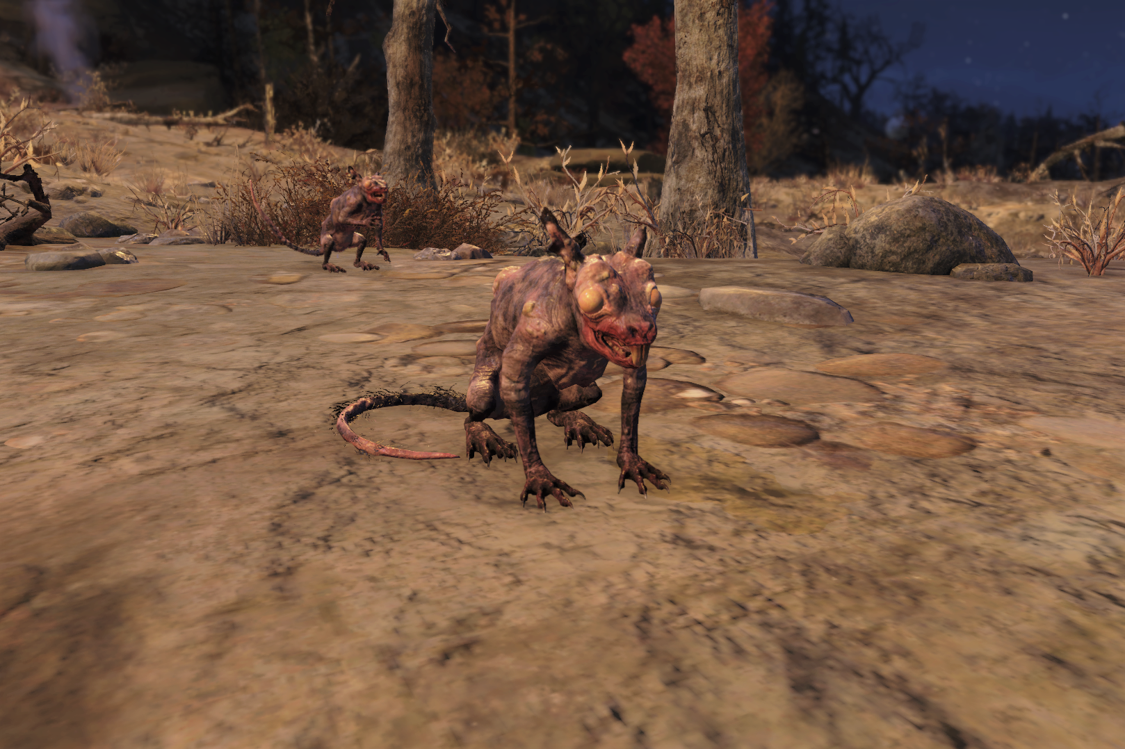 Detail Fallout 76 Squirrel Location Nomer 2