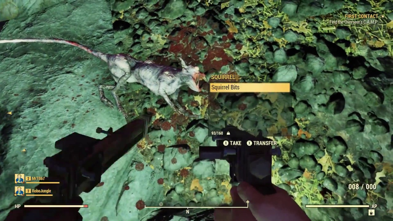 Detail Fallout 76 Squirrel Location Nomer 11