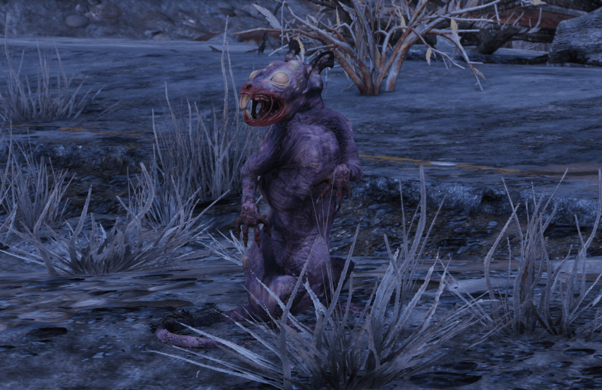 Detail Fallout 76 Squirrel Location Nomer 14