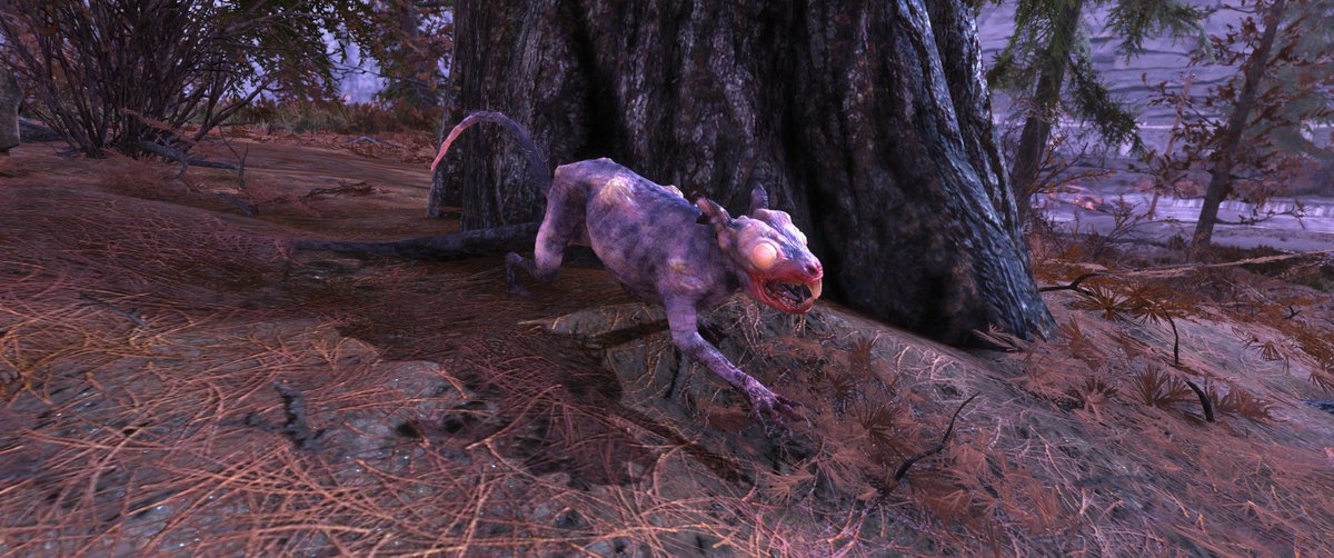 Detail Fallout 76 Squirrel Location Nomer 46