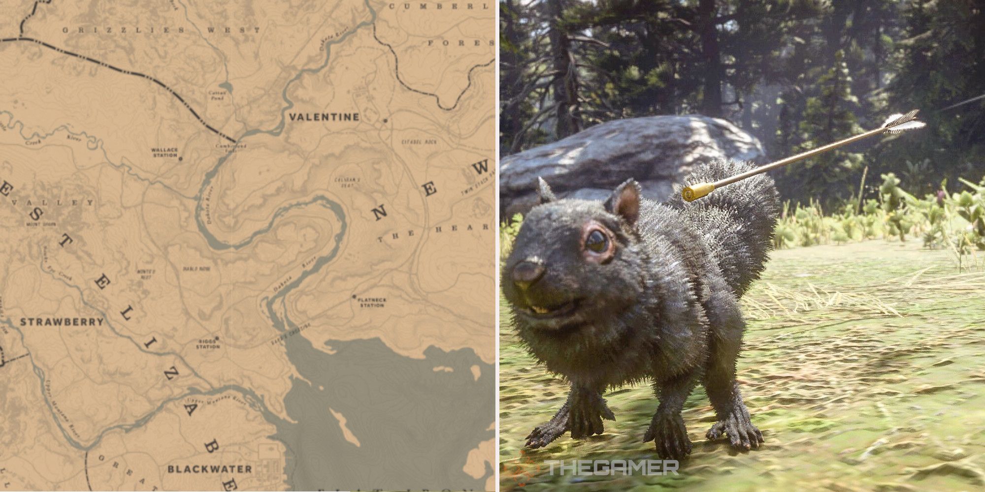 Detail Fallout 76 Squirrel Location Nomer 51