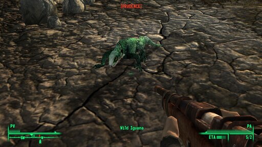 Detail Fallout Iguana Nomer 18