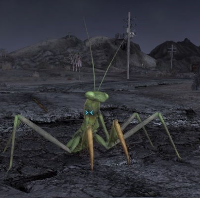Detail Fallout Mantis Nomer 16