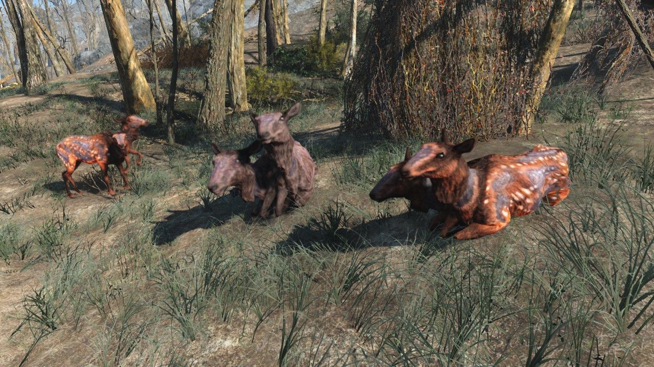 Detail Fallout Pig Rat Nomer 35