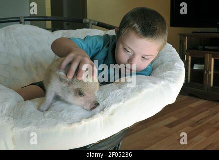 Detail Fallout Pig Rat Nomer 37