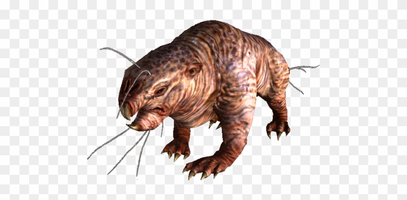 Detail Fallout Pig Rat Nomer 43