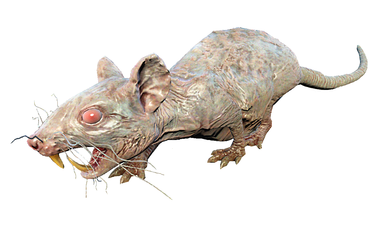 Detail Fallout Pig Rat Nomer 8