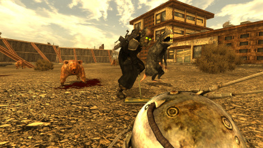 Detail Fallout Pig Rat Nomer 9