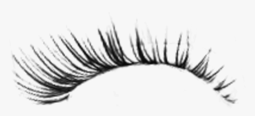 Detail False Eyelashes Transparent Background Nomer 3