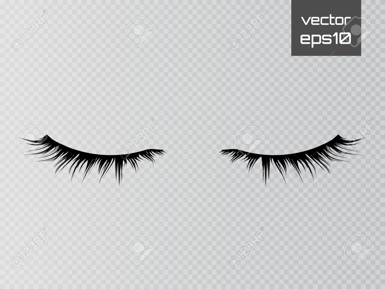 Detail False Eyelashes Transparent Background Nomer 35