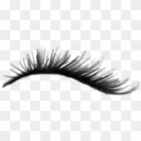 Detail False Eyelashes Transparent Background Nomer 48