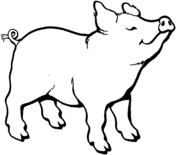 Detail Ferkel Vorlage Nomer 3