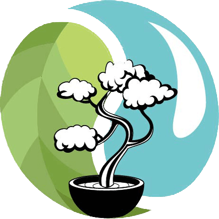 Detail Hanf Bonsai Nomer 9