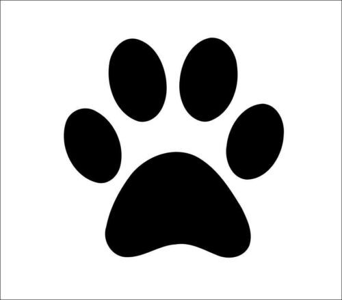 Detail Katze Gibt Pfote Nomer 10