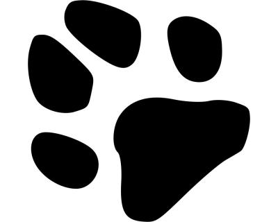 Detail Katze Gibt Pfote Nomer 14