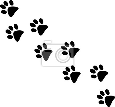 Detail Katze Gibt Pfote Nomer 16