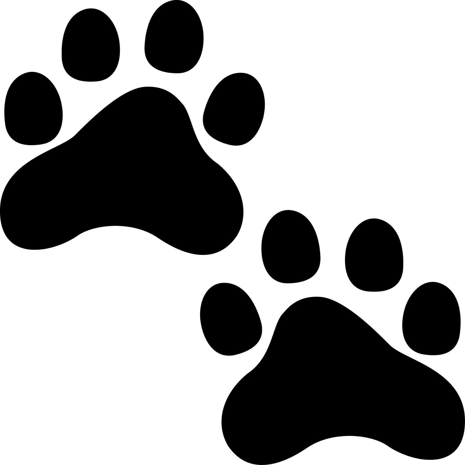 Detail Katze Gibt Pfote Nomer 17