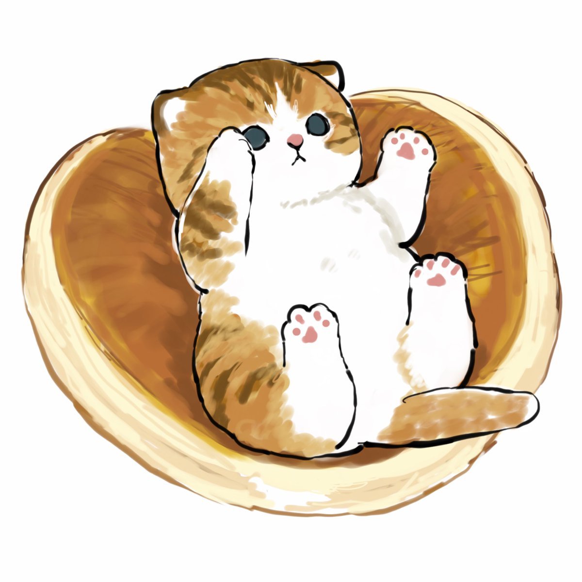 Detail Katze Gibt Pfote Nomer 6