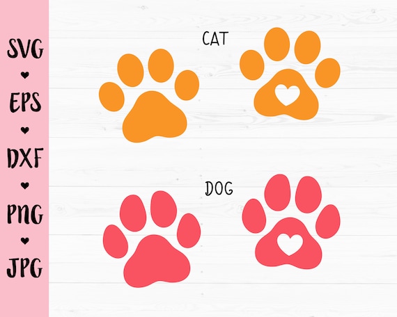 Detail Katze Gibt Pfote Nomer 8