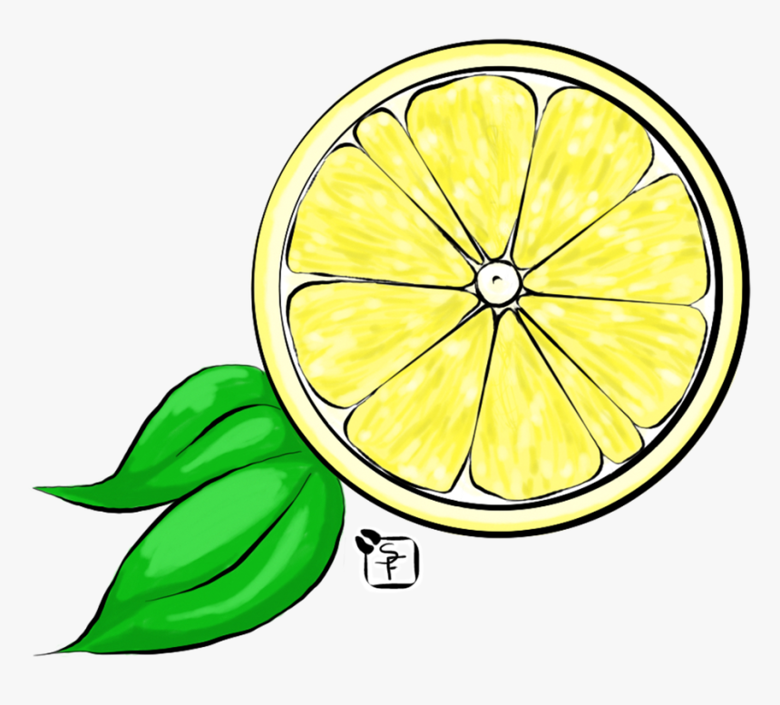 Detail Lemon Drawing Nomer 3