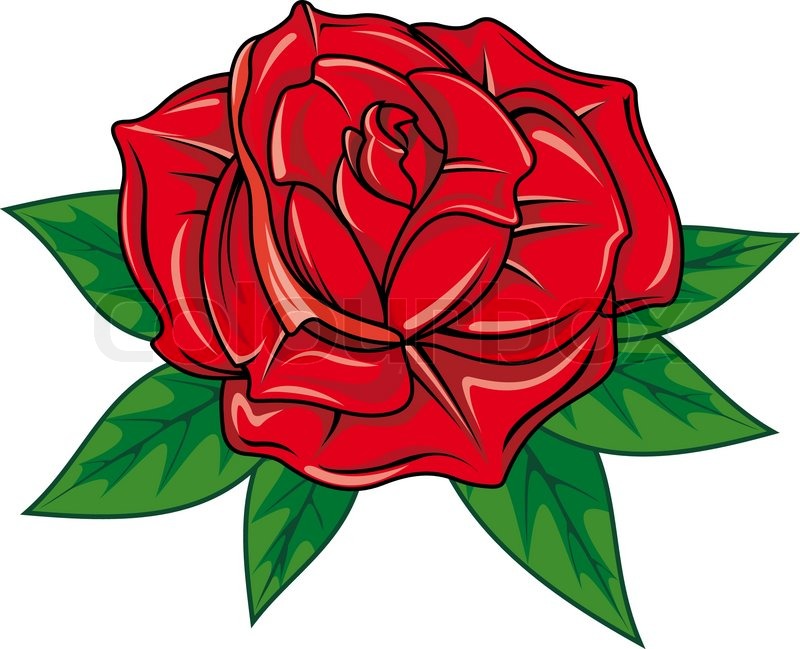 Detail Rose Comic Nomer 8