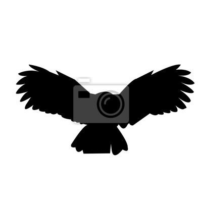 Schwarze Eule - KibrisPDR