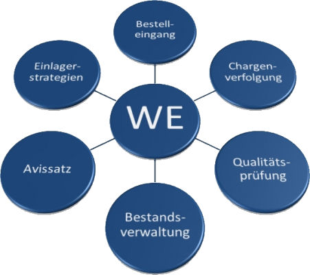 Detail Warenausgangsbuchung Sap Nomer 29