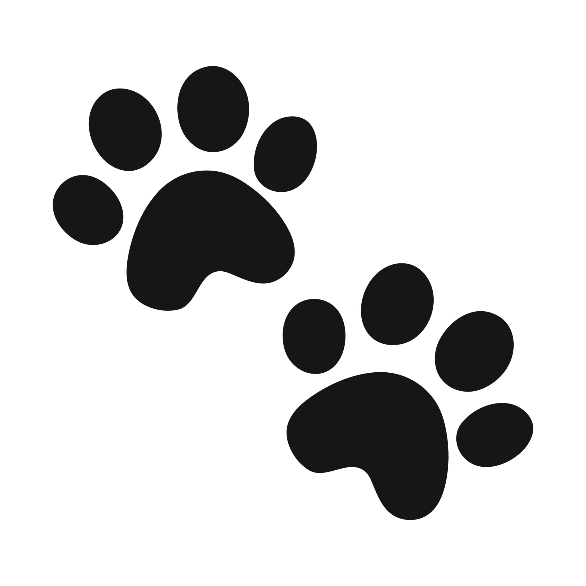 Detail Cat Paw Print Logo Nomer 17