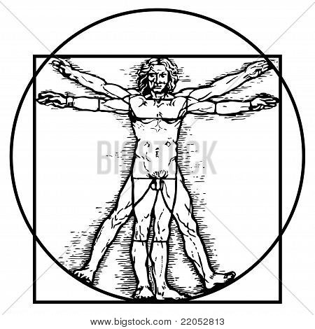 Detail Da Vinci Vitruvian Man Guitar Nomer 2