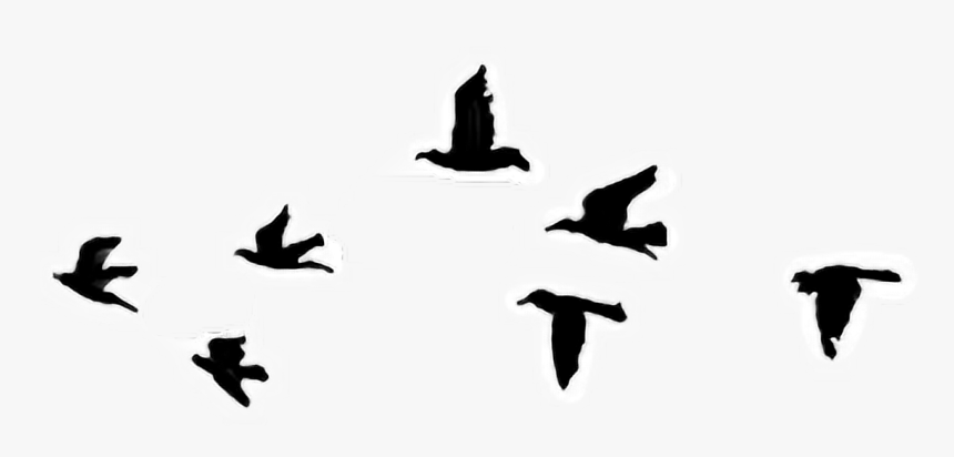 Detail Easy Bird Drawing Nomer 26