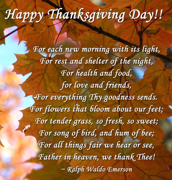 Detail Family Thanksgiving Quotes Nomer 15