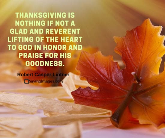 Detail Family Thanksgiving Quotes Nomer 27