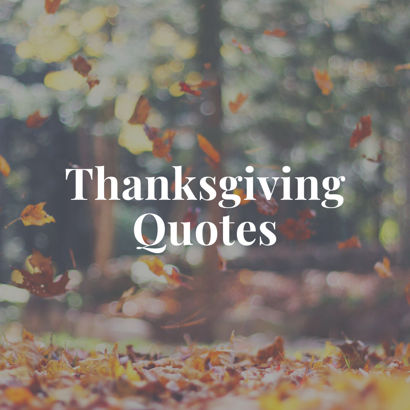 Detail Family Thanksgiving Quotes Nomer 39