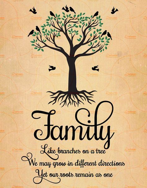 Detail Family Tree Branches Quotes Nomer 2