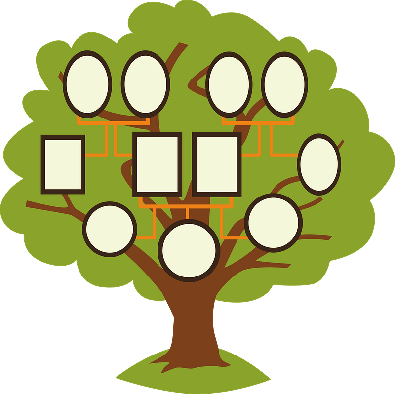 Detail Family Tree Clipart Png Nomer 2