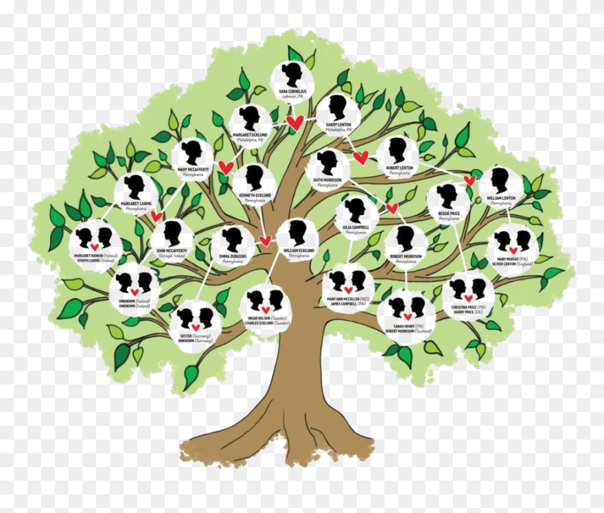 Detail Family Tree Clipart Png Nomer 19