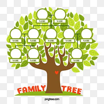 Detail Family Tree Clipart Png Nomer 25