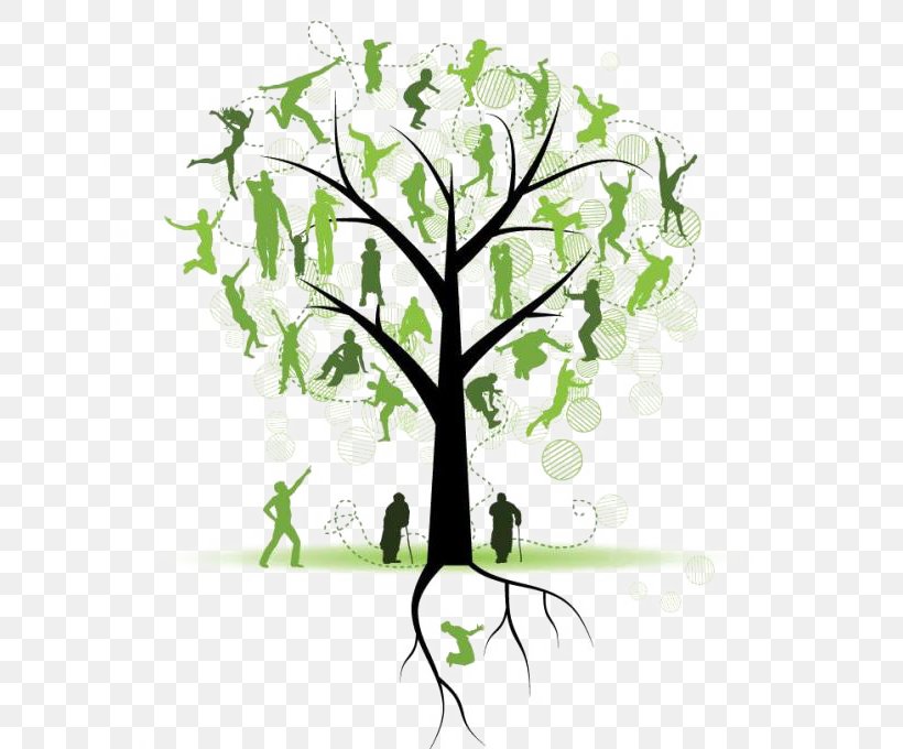 Detail Family Tree Clipart Png Nomer 27