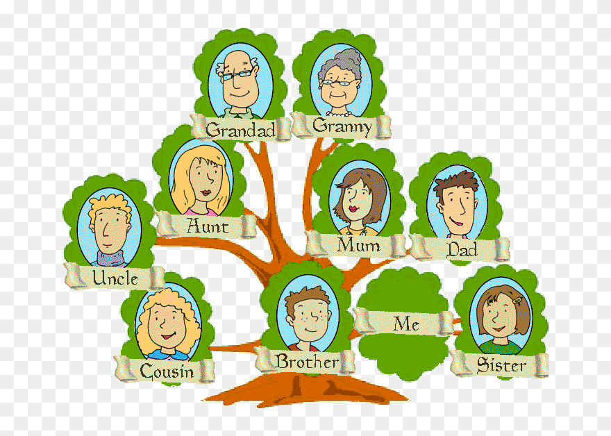 Detail Family Tree Clipart Png Nomer 41
