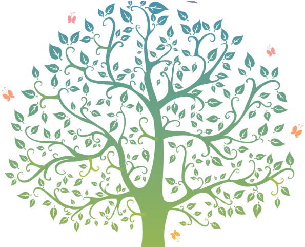 Detail Family Tree Clipart Png Nomer 48