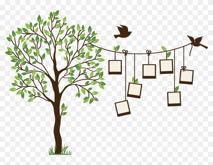 Detail Family Tree Clipart Png Nomer 8