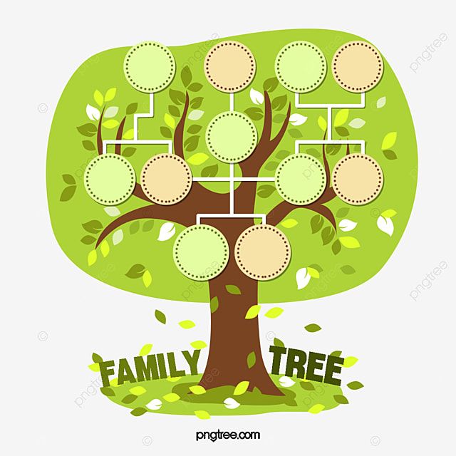 Detail Family Tree Contoh Pohon Keluarga Nomer 20