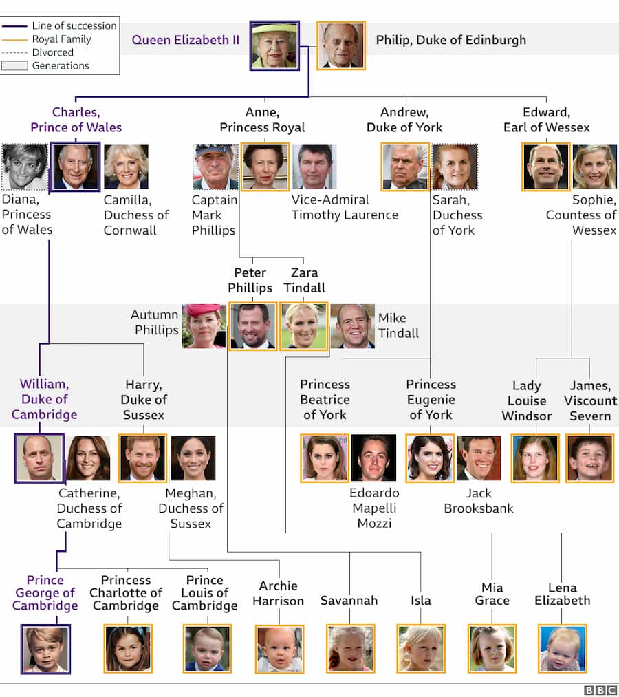 Detail Family Tree Contoh Pohon Keluarga Nomer 25