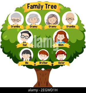 Detail Family Tree Contoh Pohon Keluarga Nomer 35