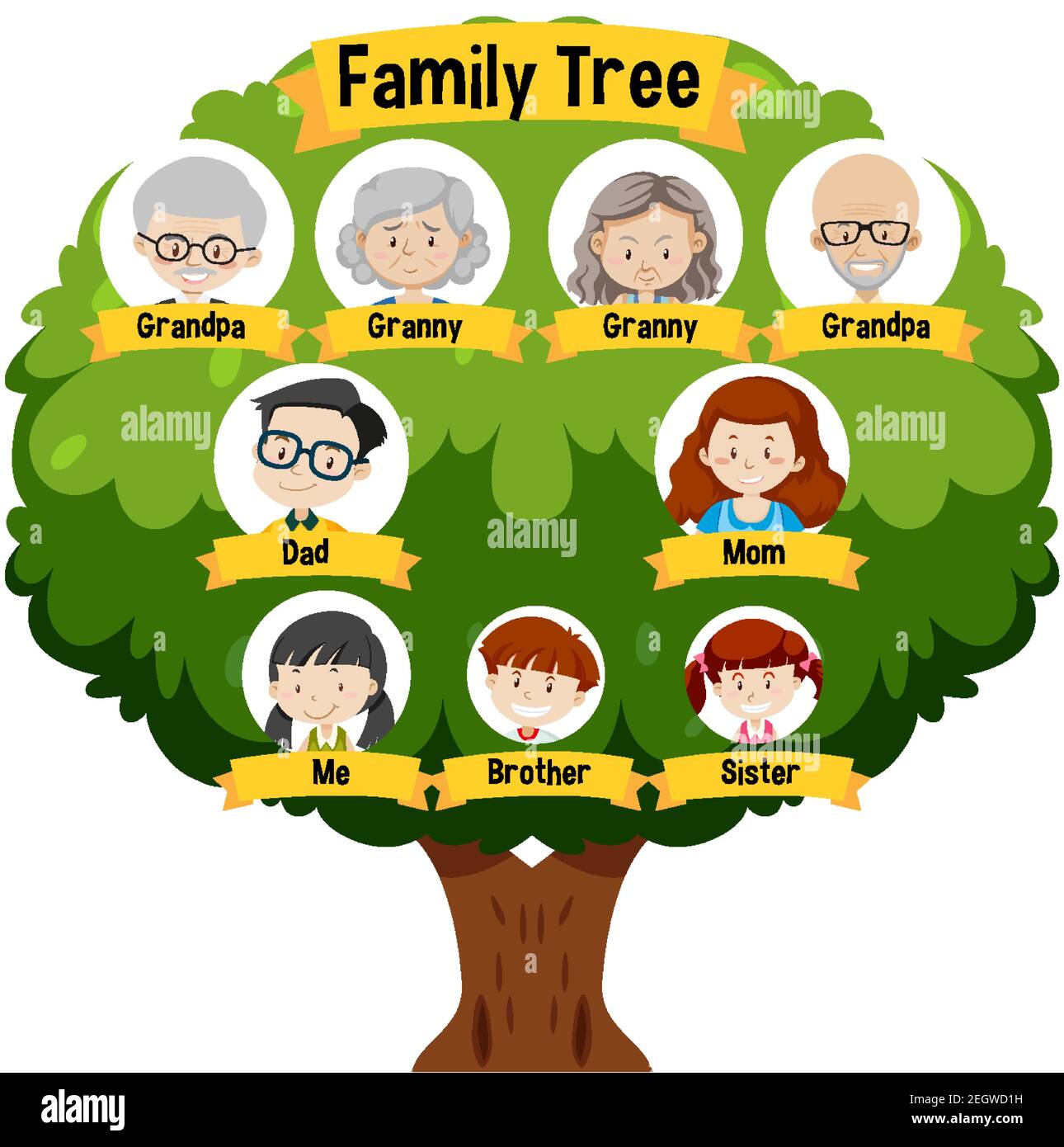Family Tree Gambar - 56+ Koleksi Gambar