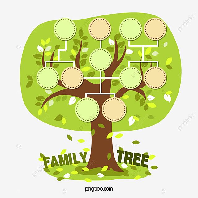 Detail Family Tree Pohon Keluarga Nomer 11
