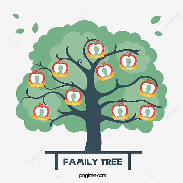 Detail Family Tree Pohon Keluarga Nomer 20